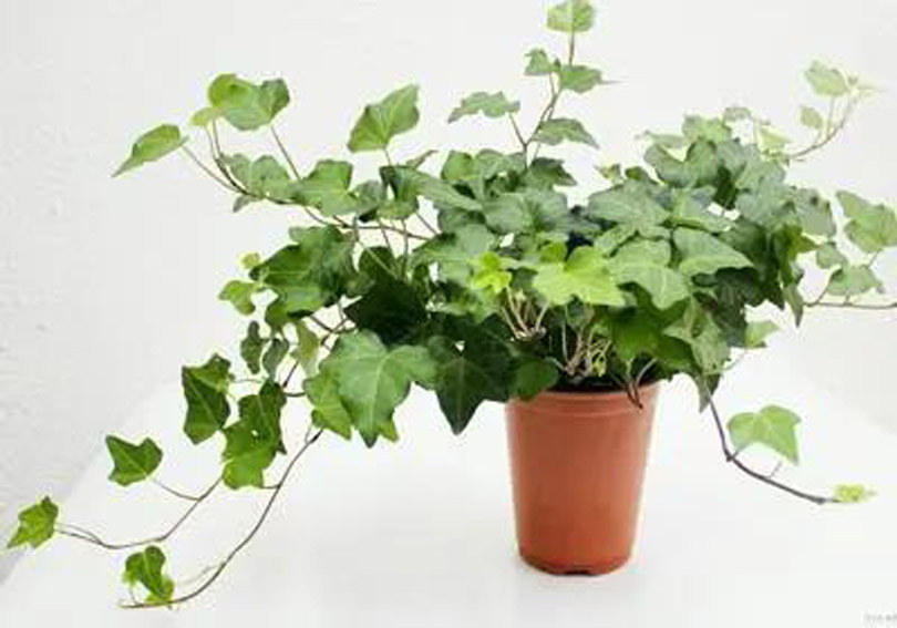 1600048380102110.jpg 微信圖片_20200914094212.jpg